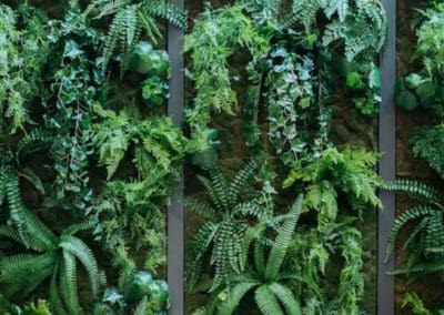 Création d'ambiances végétales & installation de panneaux muraux végétaux en Normandie - Bô Agencement