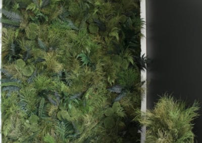 Création d'ambiances végétales & installation de panneaux muraux végétaux en Normandie - Bô Agencement